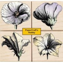 LL753 Petal Etchings
