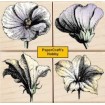 LL753 Petal Etchings