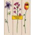 LL970 Meadow Posies