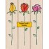 LL971 Roses