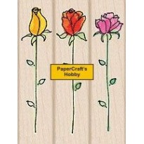 LL971 Roses
