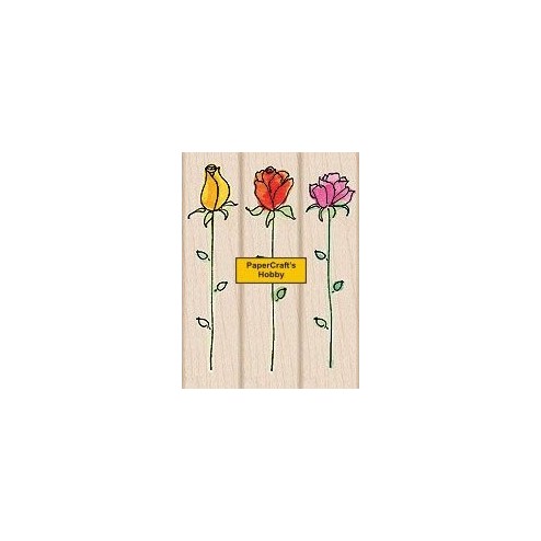 LL971 Roses