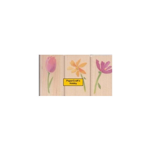 96024-X Bloemen