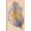 091703-I Blad