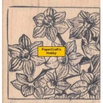 190079-I Narcissen