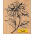 G-3341 Poinsettia Stern