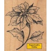 G-3341 Poinsettia Stern