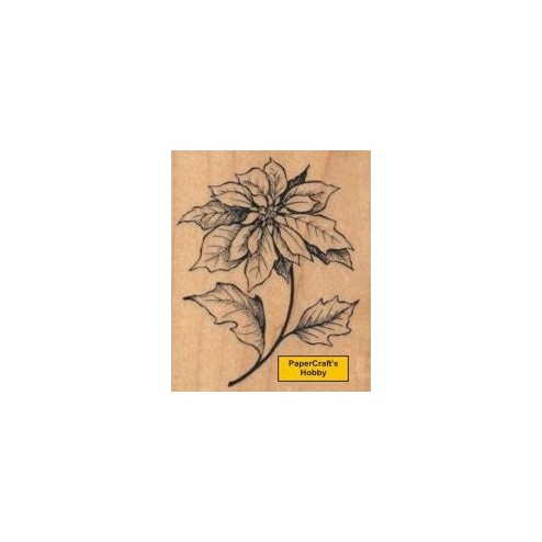 G-3341 Poinsettia Stern