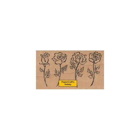 K-2291 Four Brushed Roses
