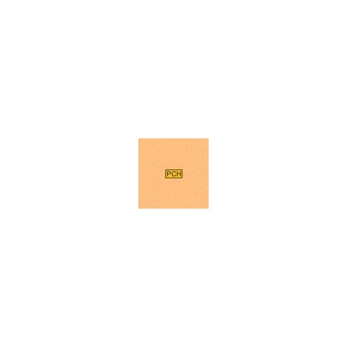 40 Mango