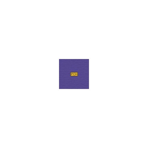 602 Violet