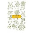 Wedding Motifs