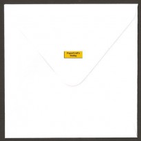 Vierkante Envelop Wit 15,4