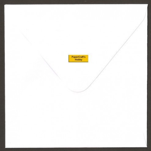 Vierkante Envelop Wit 15,4