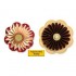 Accordion Fold Flowers Set