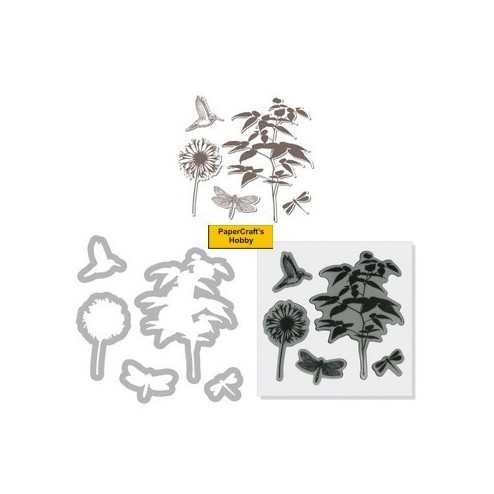 657774 Fern