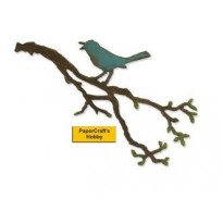 Bird Branch