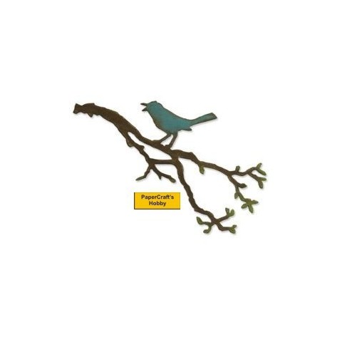 Bird Branch