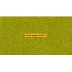 Lentegroen