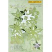 45.8961 Flower 004 Poinsettia